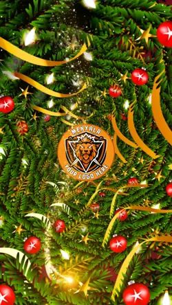 Merry Christmas ²¹