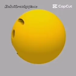 Ö-ödevmiii