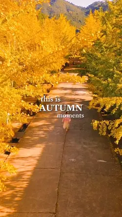AUTUMN 