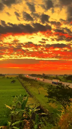 Aesthetic senja HD 