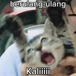 meme foto teman 
