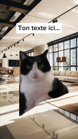 Chat posé 