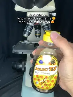 mikroskop madu 🙂‍↕️