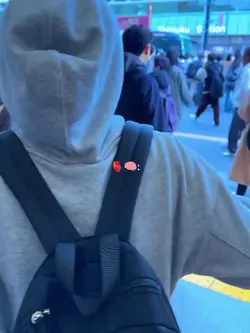 vlog vibes