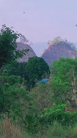 timi sanga hasna pau