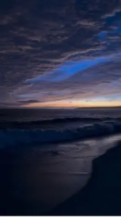 Sunset lyric overla