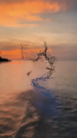 slowmo faded