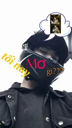 mơ gì tối nay??
