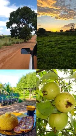 Coisas de interior 