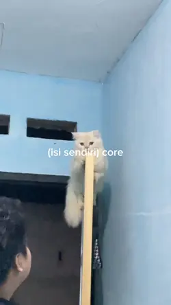 core 10 video