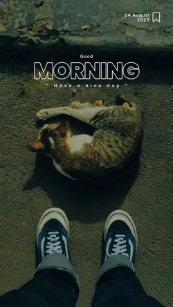 Good Morning 