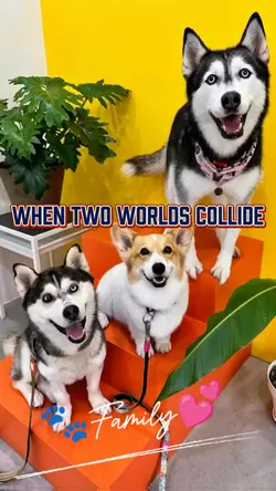 Two Worlds Collide..