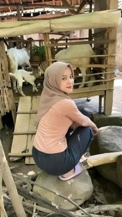 negeri sulap