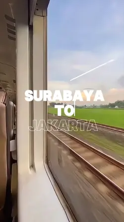 My Trip