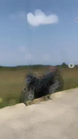 Pang flex sa motor !