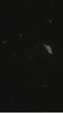 Neden bıraktın beni!