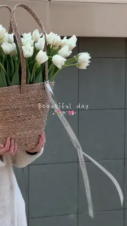 Beautiful day