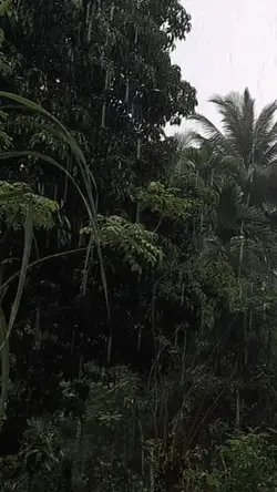 raind Sound 