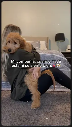 Mi compañía 🫀🐶