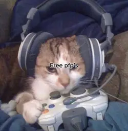 Free pfp