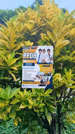 PPDB rush