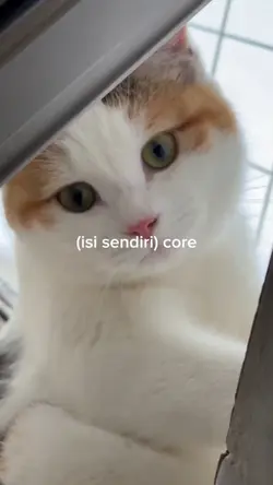 core foto/video klip