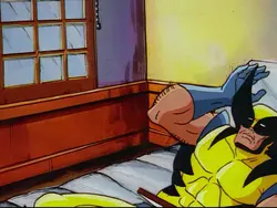 wolverine photo 