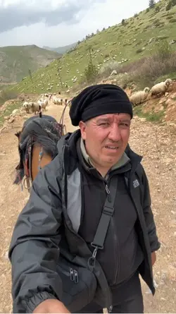 Yayla yolları