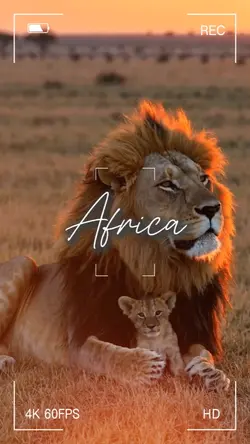 Cinematic Africa