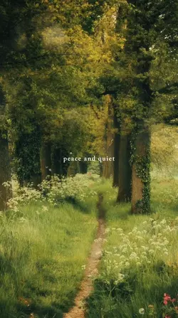 Peace and quiet