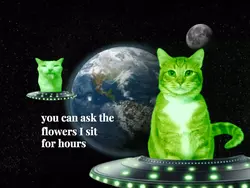 alien meme