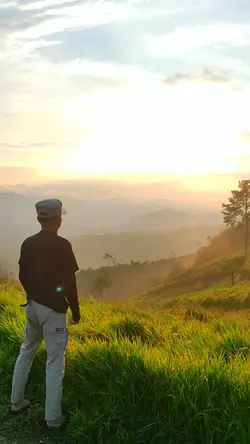 Panah matahari