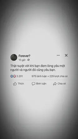 Thật tuyệt vời 🤍 
