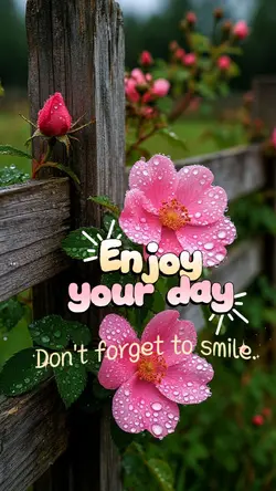 enjoy your day