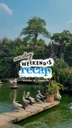 weekend recap