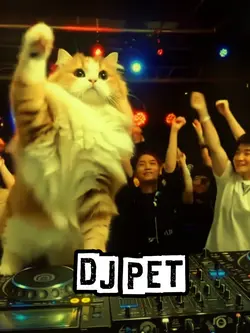 Dj pet