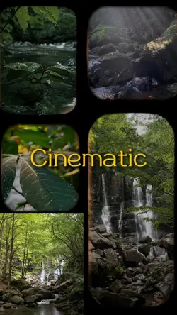 Cinematic of nature