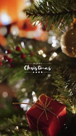 Christmas 2024