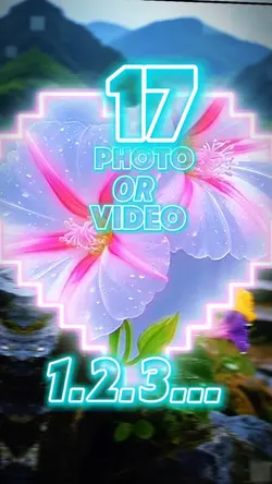 17 clip or photo 