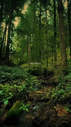 nature therapy