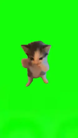 Scuba Cat