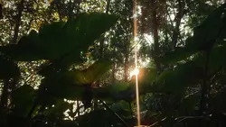 Cinematic 1 menit