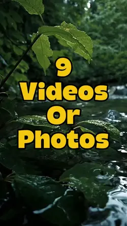 Nature vibes