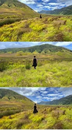 3 video 1 frame