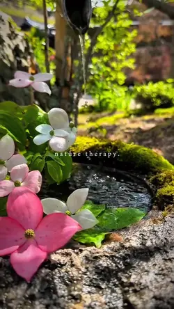 nature therapy 🦚