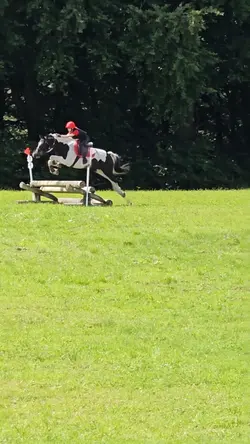 Equestrian Edit <3