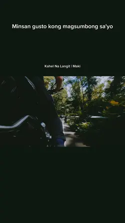 Rides