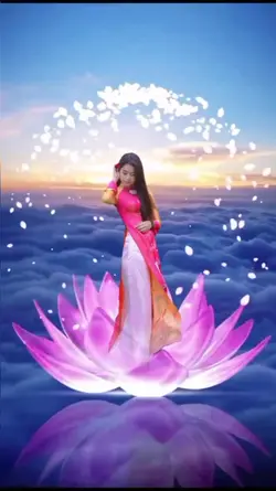 Hoa sen trên biển
