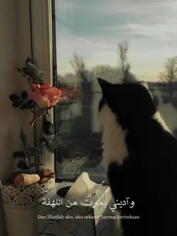 arabic song
