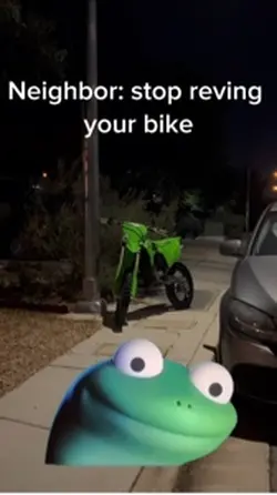 Lizard